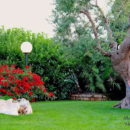 Cassandra 카스텔라나그로테