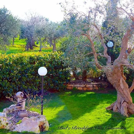 Cassandra Отель типа 